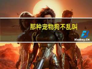 那种宠物狗不乱叫