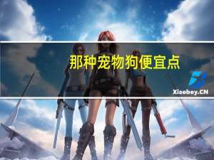 那种宠物狗便宜点