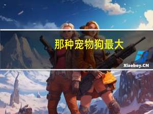 那种宠物狗最大