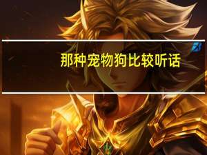 那种宠物狗比较听话