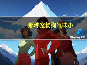 那种宠物狗气味小