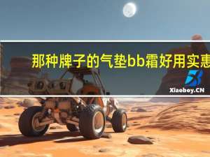 那种牌子的气垫bb霜好用实惠