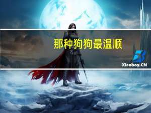 那种狗狗最温顺