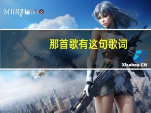 那首歌有这句歌词(听党指挥,能打胜仗,作风优良) 能打胜仗作风优良