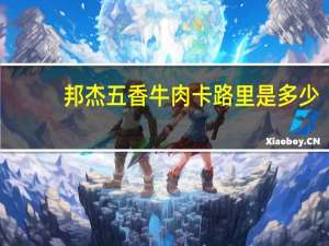 邦杰 五香牛肉卡路里是多少