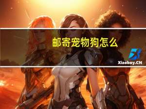 邮寄宠物狗怎么