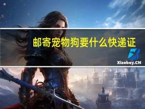 邮寄宠物狗要什么快递证
