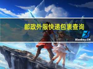 邮政外服快递包裹查询