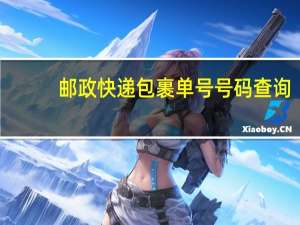 邮政快递包裹单号号码查询（邮政快递包裹单号查询l询）