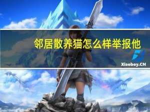 邻居散养猫怎么样举报他