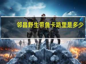 邻昌野生带鱼卡路里是多少