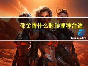 郁金香什么时候播种合适