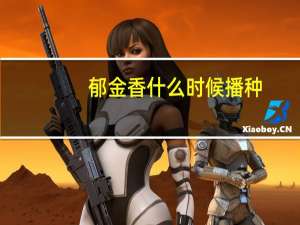 郁金香什么时候播种