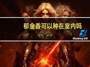 郁金香可以种在室内吗