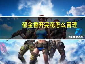 郁金香开完花怎么管理