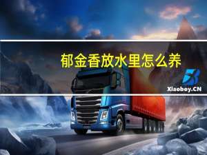 郁金香放水里怎么养