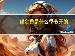 郁金香是什么季节开的