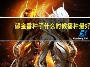 郁金香种子什么时候播种最好