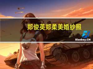 郑俊英郑柔美婚纱照（郑俊英郑柔美）