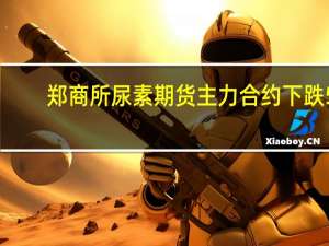 郑商所尿素期货主力合约下跌5.09%报2236.0元/吨