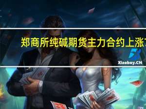 郑商所纯碱期货主力合约上涨7.25%报2026.0元/吨