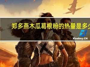 郑多燕 木瓜葛根粉的热量是多少