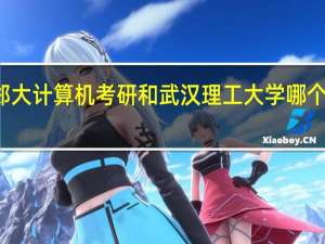 郑大计算机考研和武汉理工大学哪个较容易