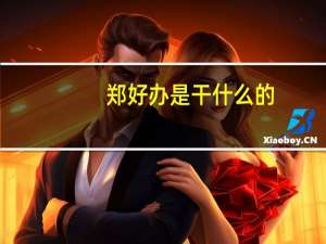 郑好办是干什么的