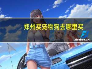 郑州买宠物狗去哪里买