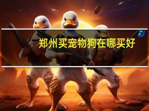郑州买宠物狗在哪买好