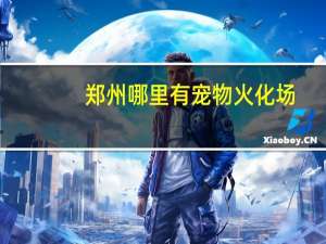 郑州哪里有宠物火化场