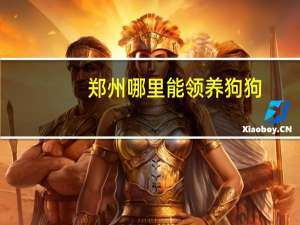 郑州哪里能领养狗狗