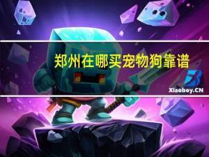 郑州在哪买宠物狗靠谱
