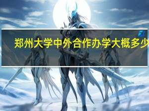 郑州大学中外合作办学大概多少分