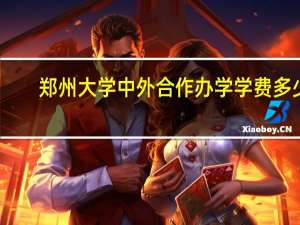 郑州大学中外合作办学学费多少
