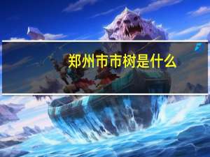郑州市市树是什么