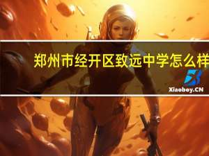 郑州市经开区致远中学怎么样