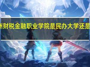 郑州财税金融职业学院是民办大学还是公办大学
