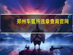 郑州车管所违章查询官网（郑州网上车管所违章查询）