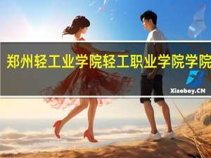 郑州轻工业学院轻工职业学院学院规模