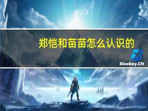 郑恺和苗苗怎么认识的