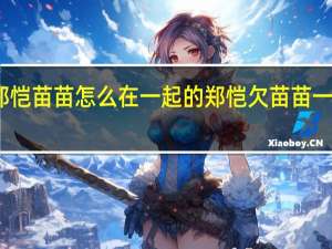 郑恺苗苗怎么在一起的 郑恺欠苗苗一个婚礼