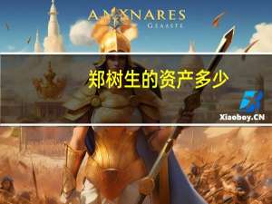 郑树生的资产多少