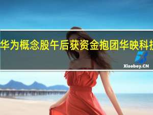 部分华为概念股午后获资金抱团华映科技再度涨停