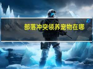 部落冲突领养宠物在哪