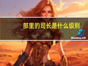部里的司长是什么级别（司长是什么行政级别）