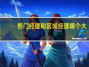 部门经理和区域经理哪个大
