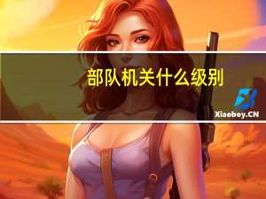 部队机关什么级别