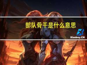 部队骨干是什么意思