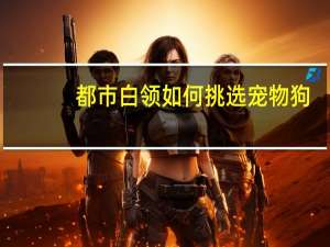 都市白领如何挑选宠物狗